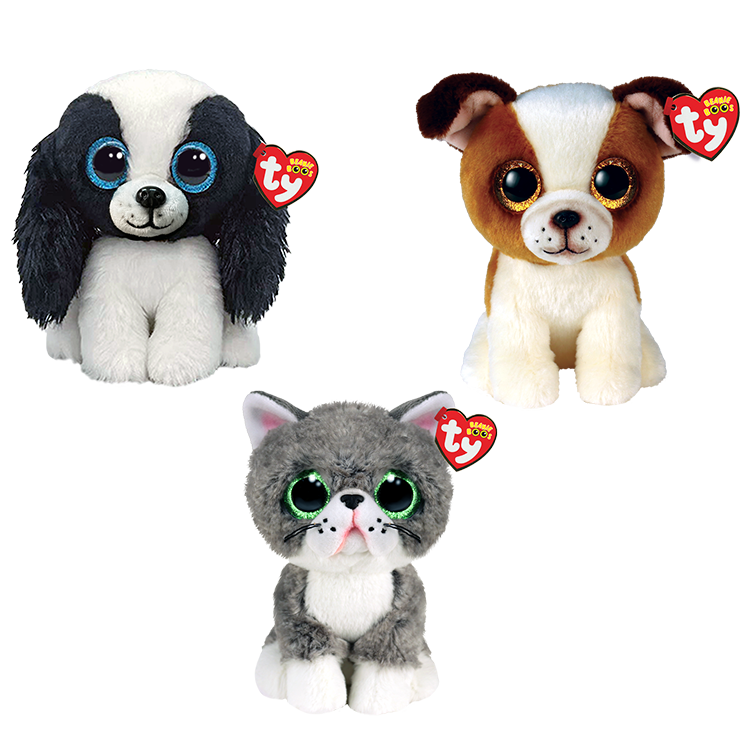 Road Trip Rascals Bundle - US 8069