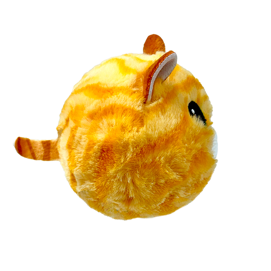 Purry - US 8976
