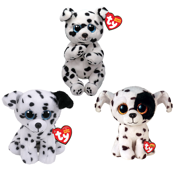 Dalmatian Bundle - US 5299